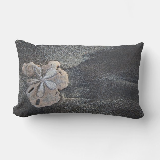 Sand dollar on sand lumbar cushion (Front)