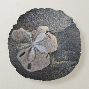 Sand dollar on sand round cushion