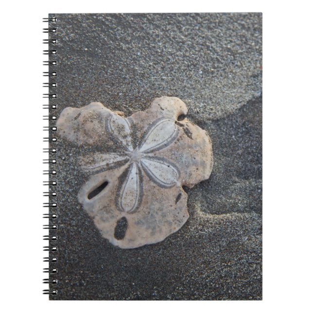 Sand dollar on sand spiral notebook (Front)