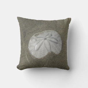 Sand Dollar Photo Wet Sand Beach Nature Coastal Cushion