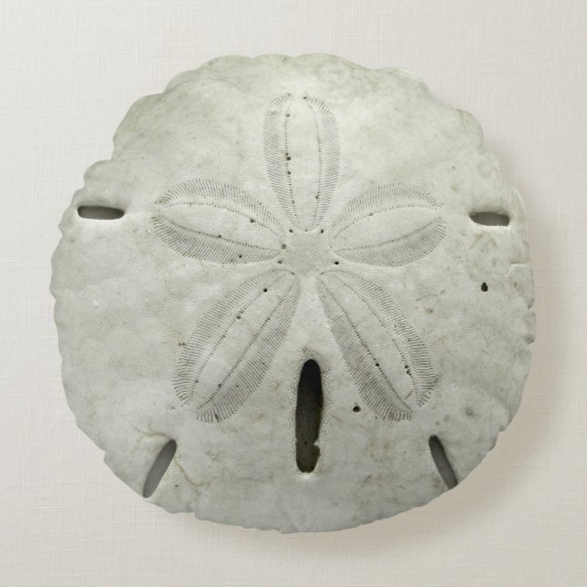Sand Dollar Pillow (Front)