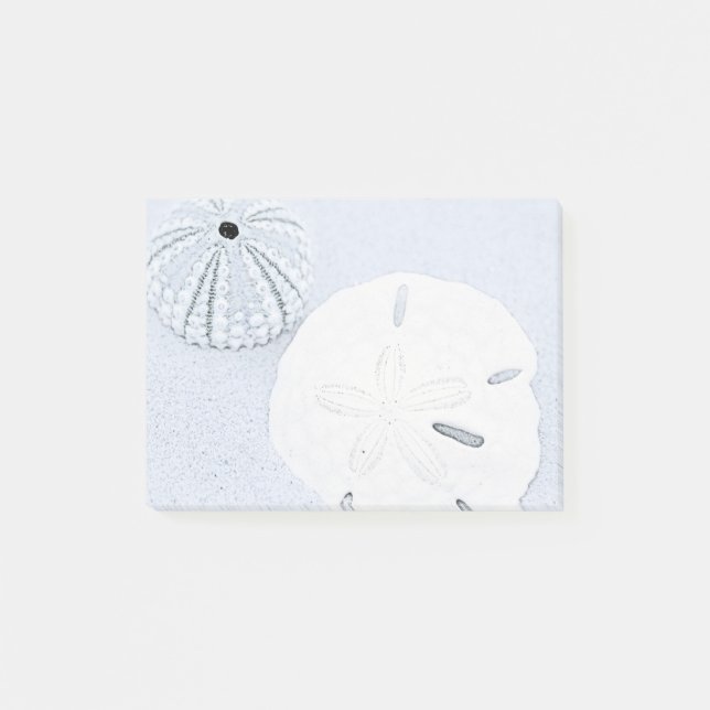 Sand Dollar Post-it Notes (Front)