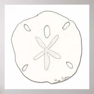 Sand Dollar Posters & Prints