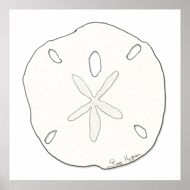 Sand Dollar Posters & Prints (Front)