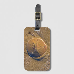 Sand Dollar Revealed On Beach   Hilton Head Island Luggage Tag