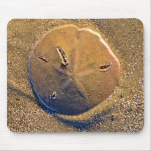 Sand Dollar Revealed On Beach   Hilton Head Island Mouse Pad