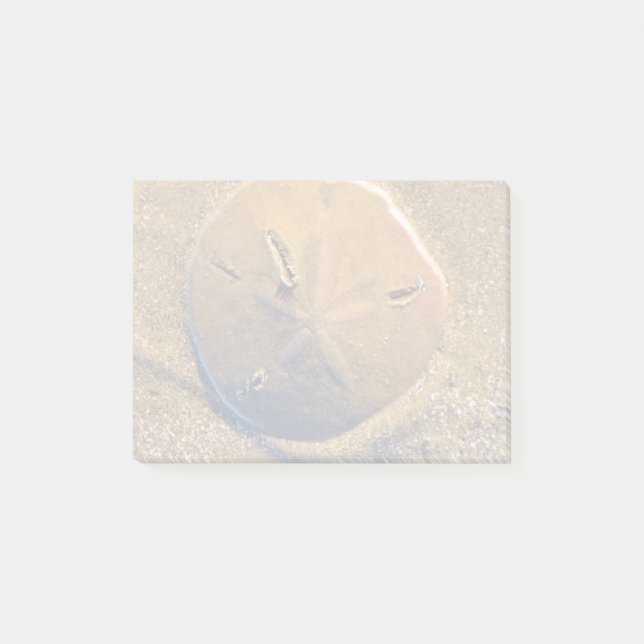 Sand Dollar Revealed On Beach | Hilton Head Island Post-it Notes (Front)