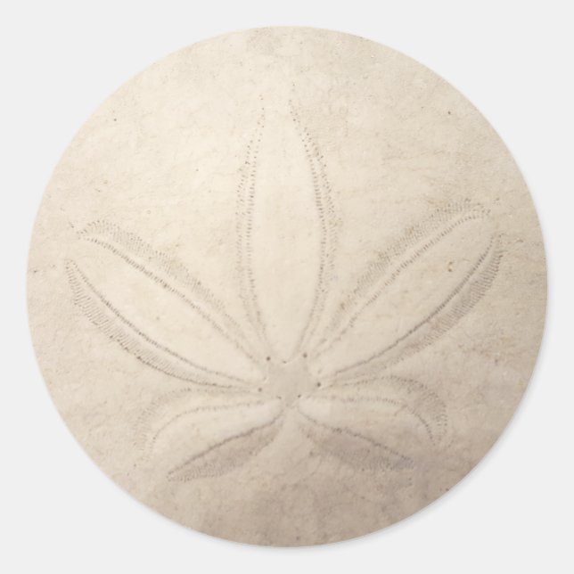 Sand Dollar Round Sticker (Front)