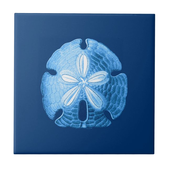 Sand Dollar Sea Life Print, Indigo Blue and White Tile (Front)