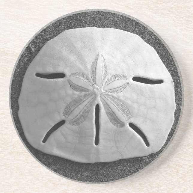 Sand Dollar Sea Shell Beach Drink Coaster (Front)
