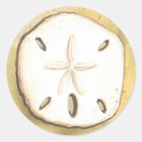 Sand Dollar Sea Shell