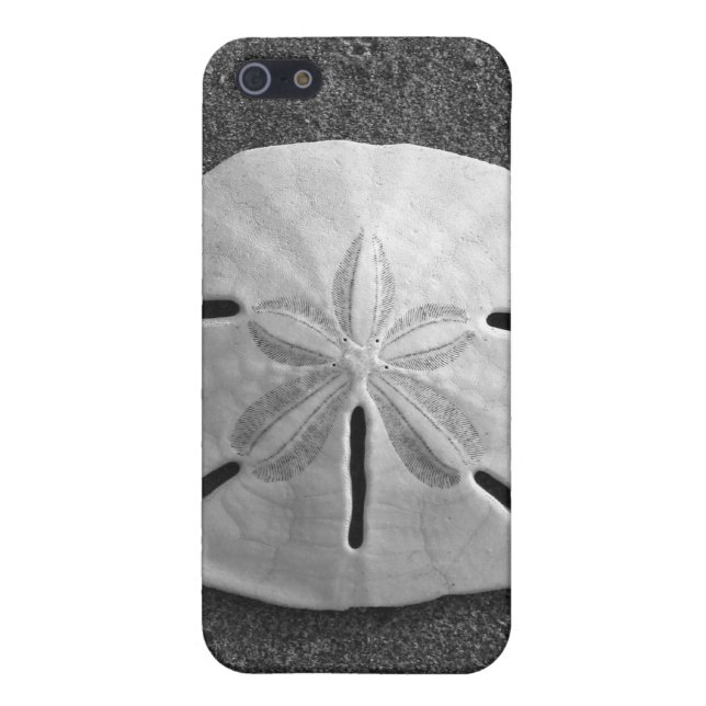 Sand Dollar Sea Shell Sand Beach iPhone Case Case For iPhone 5/5S (Back)
