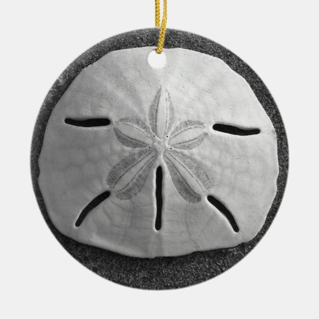 Sand Dollar Seashell Beach Ornament Pendant (Front)