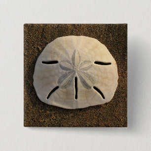 Sand Dollar Seashell Photo Button Custom Pins
