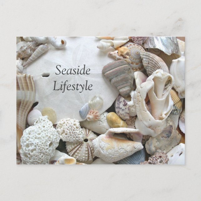 Sand Dollar Seaside Lifestyle New Addres Announcement Postcard (Front)