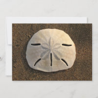 Sand Dollar Shell Beach Invitation (Colour Photo)