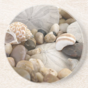 Sand Dollar Shells and Pebbles Coaster