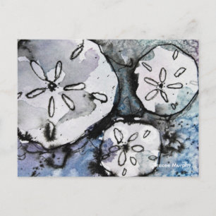Sand Dollar Trio Postcard