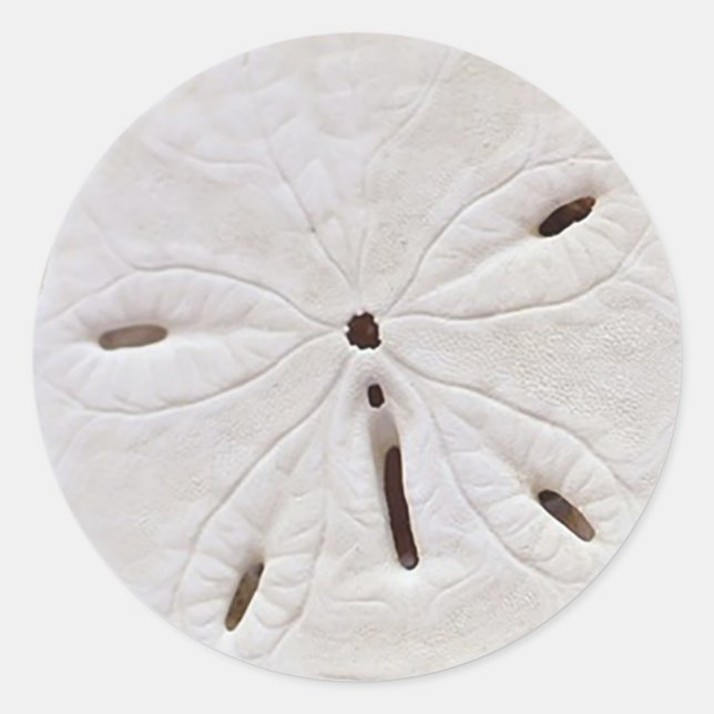 Sand dollar wedding Sticker (Front)