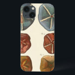 Sand Dollars Gems iPhone 13 Case<br><div class="desc">Sand dollars are a very unique sea gem. This image encompasses very unique and colourful sand dollars. Diderot contrasted these sand dollars with a soft cream coloured tone background. Get your sand dollar gems on your zazzle product today.</div>