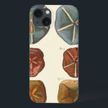 Sand Dollars Gems iPhone 13 Case<br><div class="desc">Sand dollars are a very unique sea gem. This image encompasses very unique and colourful sand dollars. Diderot contrasted these sand dollars with a soft cream coloured tone background. Get your sand dollar gems on your zazzle product today.</div>