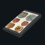 Sand Dollars Gems Trifold Wallet<br><div class="desc">Sand dollars are a very unique sea gem. This image encompasses very unique and colourful sand dollars. Diderot contrasted these sand dollars with a soft cream coloured tone background. Get your sand dollar gems on your zazzle product today.</div>