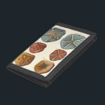 Sand Dollars Gems Trifold Wallet<br><div class="desc">Sand dollars are a very unique sea gem. This image encompasses very unique and colourful sand dollars. Diderot contrasted these sand dollars with a soft cream coloured tone background. Get your sand dollar gems on your zazzle product today.</div>