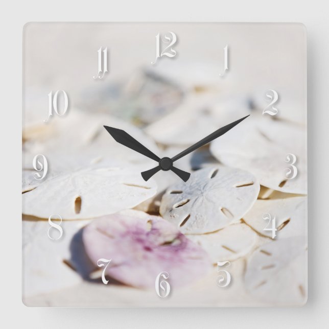 Sand dollars square wall clock (Front)