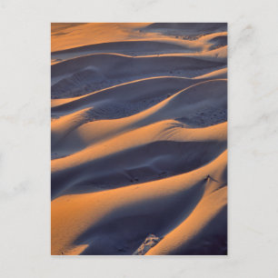 Sand Dune Abstract Postcard
