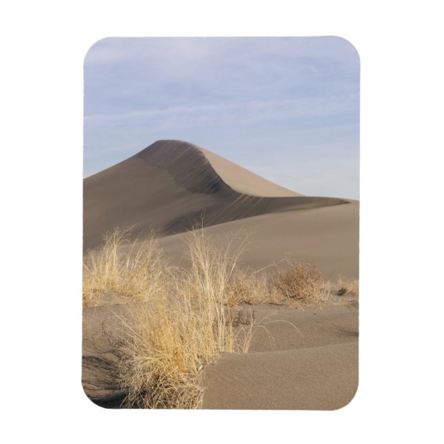 Sand dune formations. Bruneau Dunes State Park 2 Magnet (Vertical)