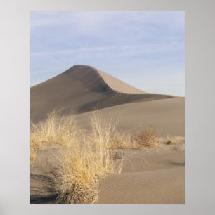 Sand dune formations. Bruneau Dunes State Park 2 Poster
