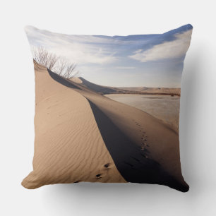 Sand dune formations. Bruneau Dunes State Park Cushion