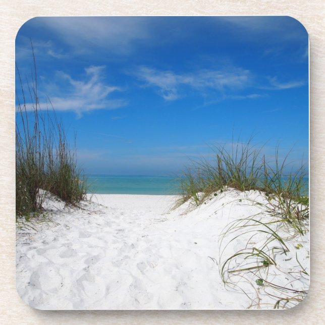 Sand Dune in Bradenton Florida Coaster (Front)