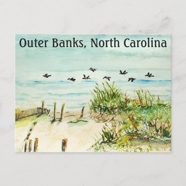 Sand Dunes and Seagulls Outer Banks North Carolina Postcard (Front)