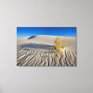 Sand dunes at White Sands National Monument in 3 Canvas Print