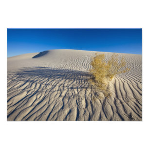 Sand dunes at White Sands National Monument in 3 Photo Print