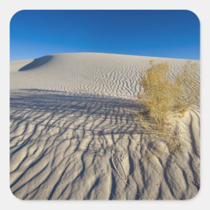Sand dunes at White Sands National Monument in 3 Square Sticker