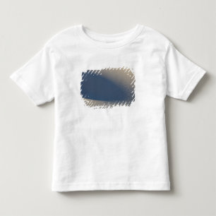 Sand dunes at White Sands National Monument in 4 Toddler T-Shirt
