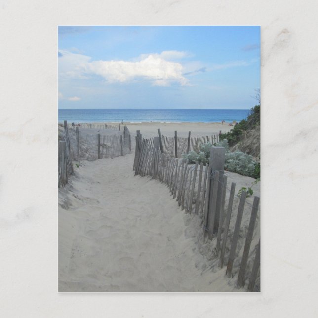 Sand Dunes Block Island Postcard (Front)