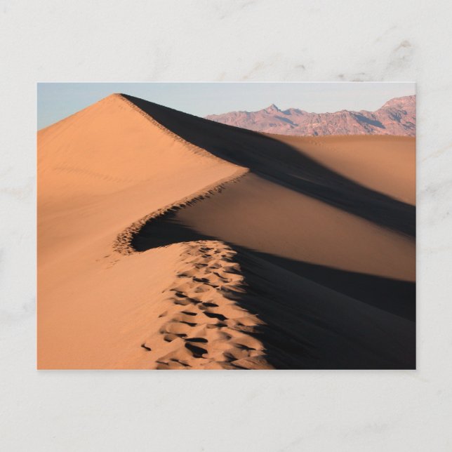 Sand Dunes - Death Valley Postcard (Front)