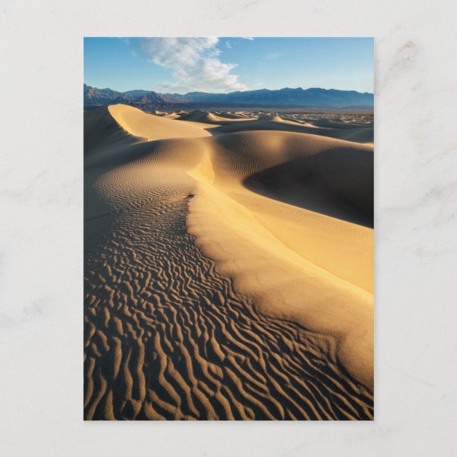 Sand dunes in Death Valley, CA Postcard (Front)