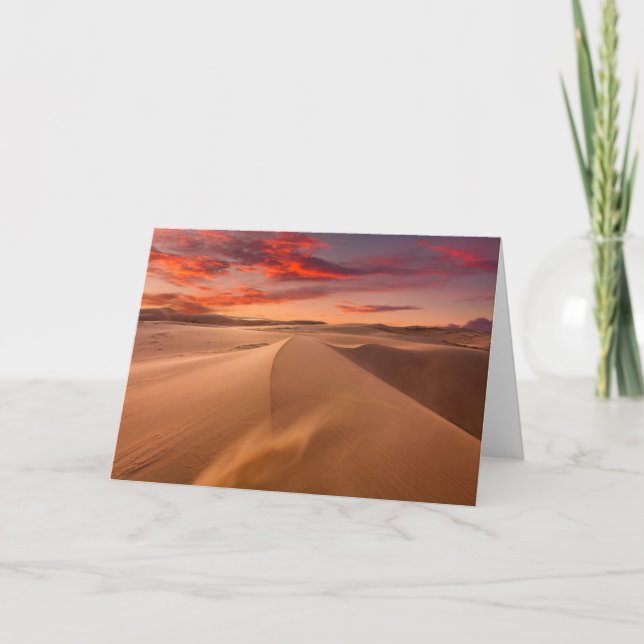 Sand Dunes in the Desert at Sunset Card (Front)