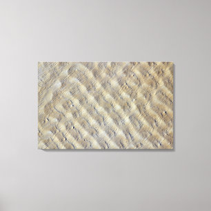 Sand dunes in the Fachi-Bilma erg Canvas Print