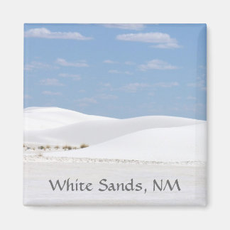 Sand Dunes Magnet