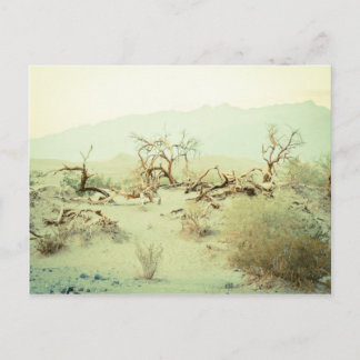 Sand Dunes of Death Valley Postcard