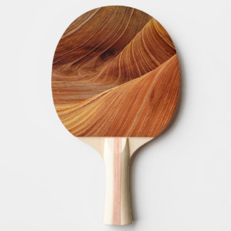 Sand Dunes  Ping Pong Paddle