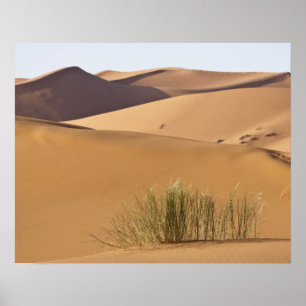 Sand dunes, Sahara desert, Morocco Poster