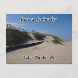 Sand Dunes Sea Oats Outer Banks NC Postcard