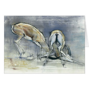 Sand Gazelles 2009 2