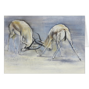Sand Gazelles 2009 3